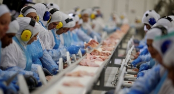 Arábia suspende compra de carne de ave de 11 frigoríficos do Brasil